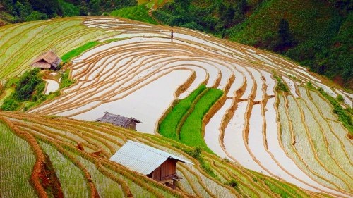 Mù Cang Chải đẹp "mê hồn" trong mùa đổ nước - 4 Vẻ đẹp ngỡ ngàng của Mù Cang Chải - Yên Bái mùa cấy làm say lòng biết bao du khách!