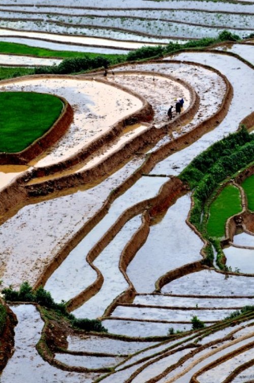  Đường cong quyến rũ.