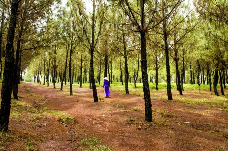 Vẻ trầm mặc của Huế trong ngày mưa đầu hạ - 6 Một góc của Lăng Tự Đức - nơi được xem là một trong những công trình kiến trú