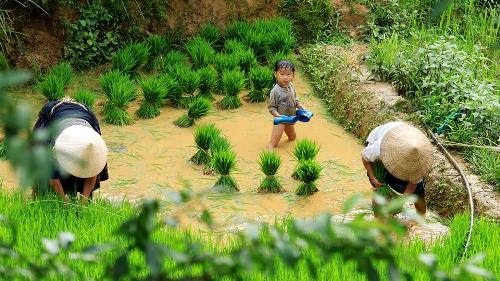Mù Cang Chải đẹp "mê hồn" trong mùa đổ nước - 10 Vẻ đẹp ngỡ ngàng của Mù Cang Chải - Yên Bái mùa cấy làm say lòng biết bao du khách!