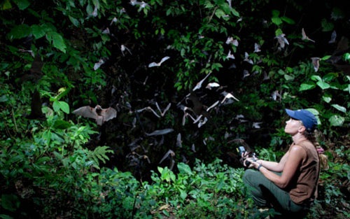 Những du khách ưa mạo hiểm còn có thể đi bộ