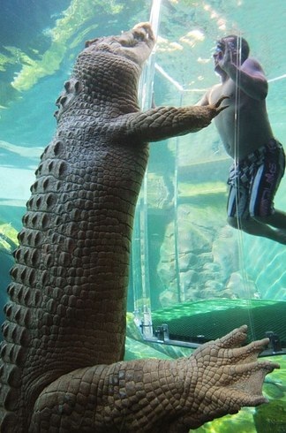 Những điểm du lịch mạo hiểm làm thót tim du khách