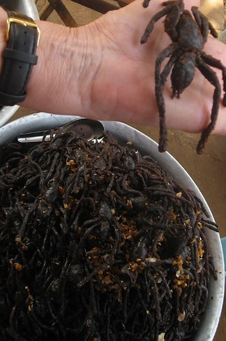 Những du khách ưa mạo hiểm còn có thể đi bộ