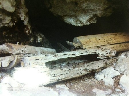 Mộ thuyền trong một vách đá dựng đứng ven sông Đà.