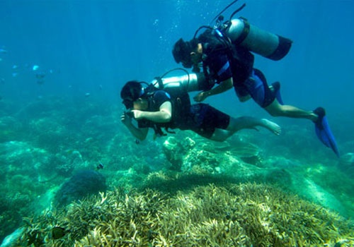 Những trải nghiệm không thể bỏ qua khi khám phá Nha Trang