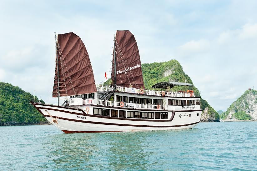 “Cứ xây dựng cấu trúc tốt, chuẩn thì thành công sẽ tự đến” - 3 Tại APT Travel nhiều dịch vụ đạt chuẩn quốc tế với giá bình dân.