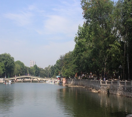 Do bố mẹ bận công việc đầu tuần nên hầu hết các em nhỏ đều được ông bà các em đưa đi chơi.