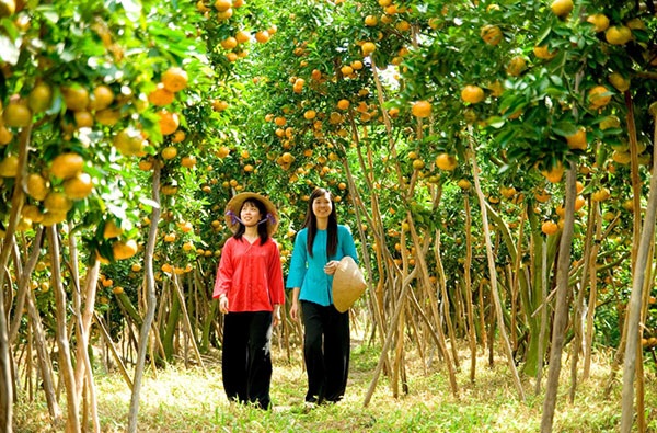 Những cảnh đẹp "đốn tim" du khách ở xứ gạo trắng nước trong - 2 Những cảnh đẹp đốn tim du khách ở xứ gạo trắng nước trong