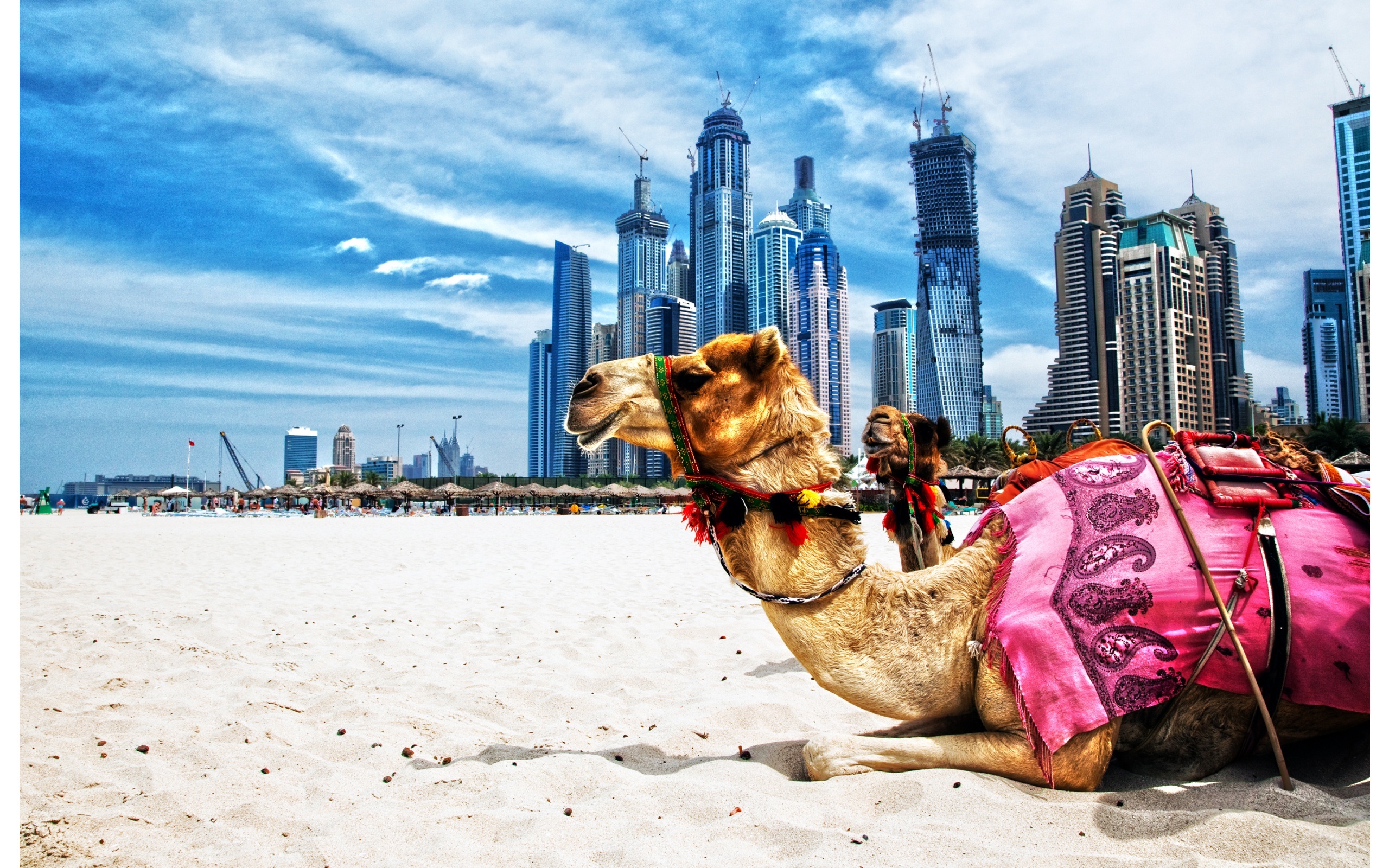 Những điều khác biệt khiến thế giới ngỡ ngàng về Dubai - 11 Và chợ vàng nổi tiếng thế giới.