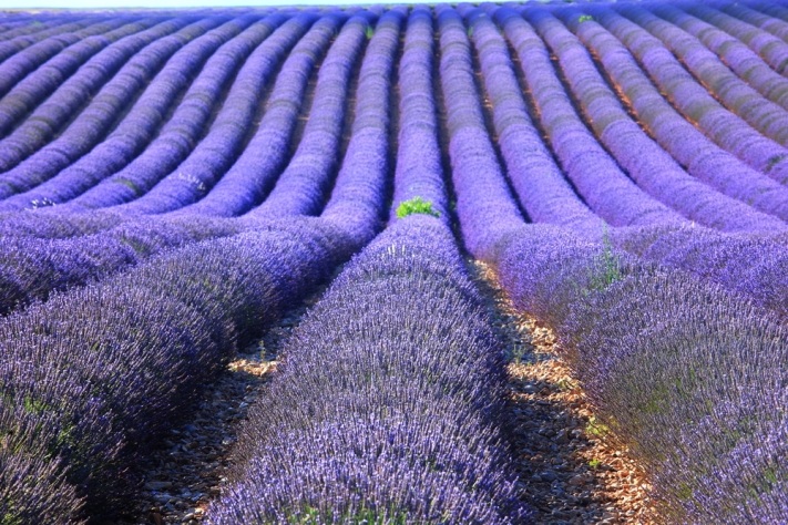 Mê mẩn trước vẻ đẹp của 10 nơi “sặc sỡ” nhất trên thế giới - 2 Mê mẩn trước vẻ đẹp của 10 nơi “sặc sỡ” nhất trên thế giới