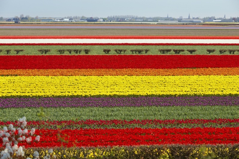 Mê mẩn trước vẻ đẹp của 10 nơi “sặc sỡ” nhất trên thế giới - 4 Mê mẩn trước vẻ đẹp của 10 nơi “sặc sỡ” nhất trên thế giới