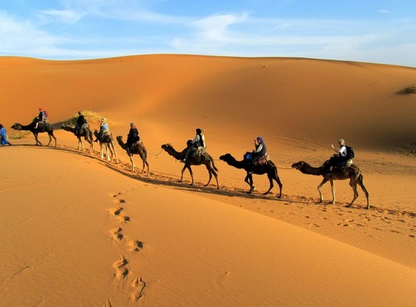 Những điều khác biệt khiến thế giới ngỡ ngàng về Dubai - 1 Những chú lạc đà này sẽ đưa du khách vượt sa mạc.