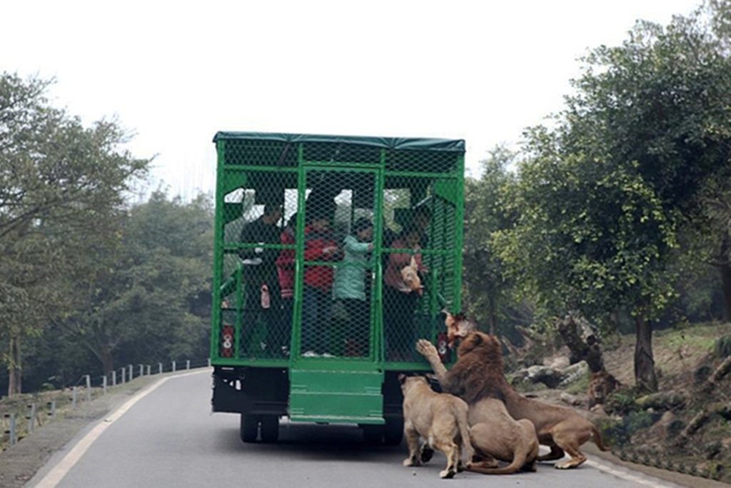 Dịch vụ mới lạ đang thu hút nhiều du khách thích cảm giác mạnh.