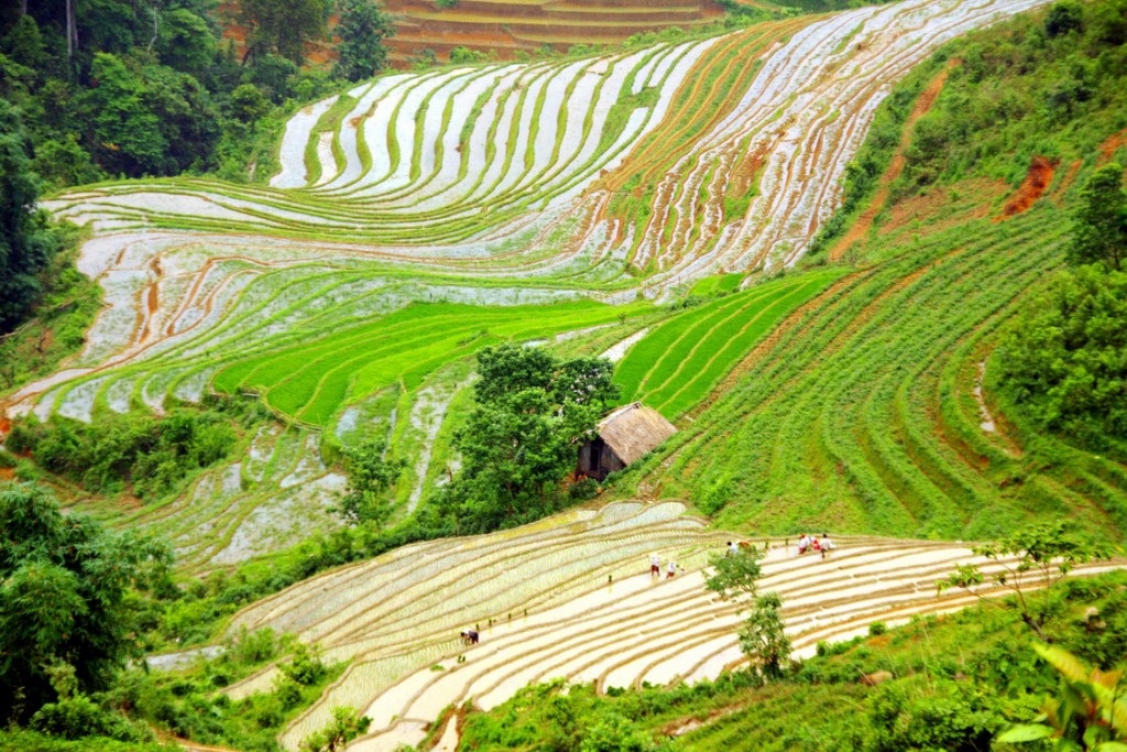 Ngỡ ngàng trước thiên nhiên tuyệt mĩ của Sa Pa - 3 Sa Pa là điểm nghỉ dưỡng lý tưởng của những ngày hè oi bức.
