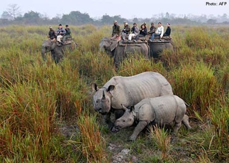 Nhà giàu Trung Quốc chi tiền tỷ cho thú vui săn bắn