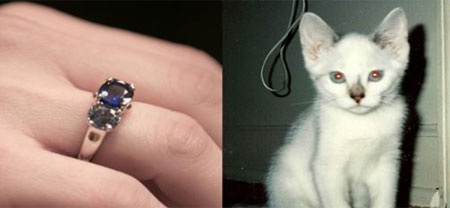 Hốt bạc nhờ biến thú cưng thành… kim cương