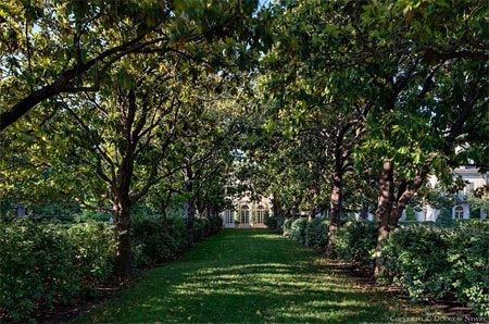 Những bóng cây xanh rợp ngát tòa dinh thự.