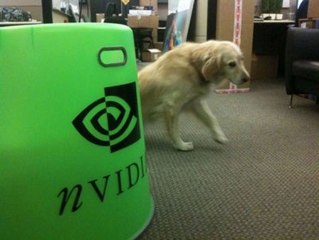 Mức lương trả cho nhân viên thực tập tại NVIDIA là 5.215 USD/tháng, tương đương 62.580 USD/năm.