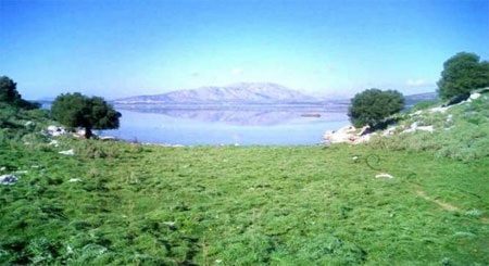 Hòn đảo này có giá 50 triệu USD.