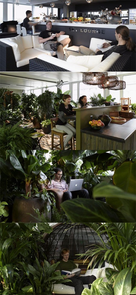 Nhiều khu vực mang tính thư giãn cao nữa, bao gồm một nơi mang chủ đề rừng rậm.