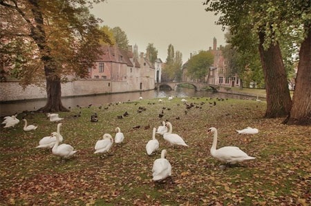 Giá xăng: 8,41 USD/gallon, tương đương 2,22 USD (46.400 đồng)/lít