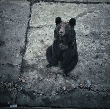 Đèn nhấp nháy bên trong một phòng karaoke không có khách ở Bình Nhưỡng.