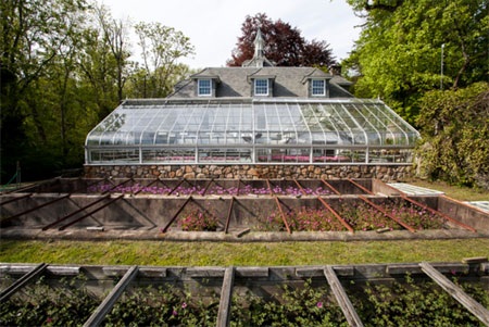 Biệt thự có 2 nhà kính để trồng rau và hoa.