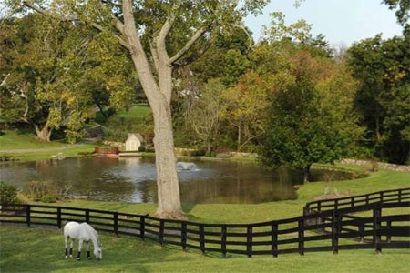 Có tất thẩy 12 khu để buộc ngựa trong điền trang này.