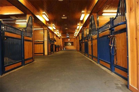 Các chuồng ngựa đều đủ tiêu chuẩn và sạch sẽ.