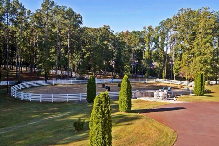 … khu vực tập cưỡi ngựa…