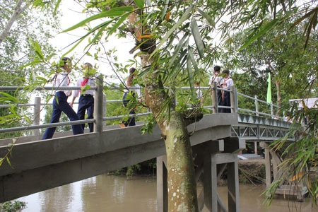 Đây là cây cầu bằng ván mục nối 2 xã Trường Xuân A và Trường Xuân B, huyện Thới Lai, TP Cần Thơ
