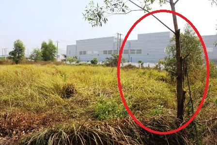 Hiện trường nơi phát hiện anh Vinh tử vong trong tư thế treo cổ.