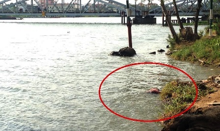 Phát hiện thi thể nữ giới nổi trên sông Sài Gòn - 1 Hiện trường nơi phát hiện thi thể người phụ nữ trên sông Sài Gòn