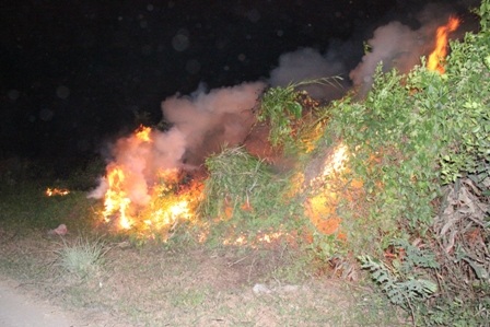 Hiện trường vụ cháy đồng cỏ khô đất dự án Khu LHTT Rạch Chiếc chiều tối 21/4