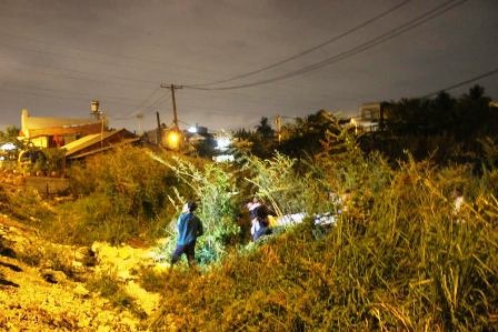 Hiện trường vụ TNGT đường sắt làm một người tử vong.