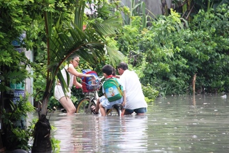 Nước mưa hoà cùng nước cống ô nhiễm bốc mùi hôi nồng nặc.