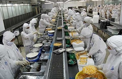 Tôm, cá Việt: coi chừng bị nước ngoài tẩy chay - 1 Tôm, cá Việt: coi chừng bị nước ngoài tẩy chay