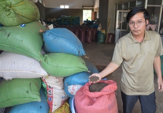 Ôm hận vì thương lái Trung Quốc - 1 Rất nhiều doanh
nghiệp đang “ôm” hàng trăm tấn bụi tiêu còn thương lái thì vắng bóng.
