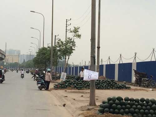 Hoa quả 5 ngàn/kg đổ đống khắp vỉa hè Hà Nội - 1 Hoa quả bán la
liệt trên vỉa hè các tuyến phố với giá chỉ vài ngàn đồng