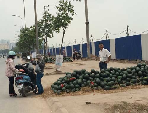 Hoa quả 5 ngàn/kg đổ đống khắp vỉa hè Hà Nội - 2 Trên đường Nguyễn
Xiển, dưa hấu được bày bán la liệt với giá 8.000 đồng/kg