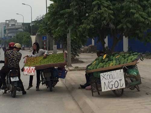 Hoa quả 5 ngàn/kg đổ đống khắp vỉa hè Hà Nội - 4 Hầu hết các loại
hoa quả bán trên vỉa hè thời gian này đều có giá rất rẻ