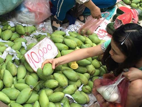 Hoa quả 5 ngàn/kg đổ đống khắp vỉa hè Hà Nội - 7 Sinh viên cũng
được dịp mua hoa quả ăn thỏa thích