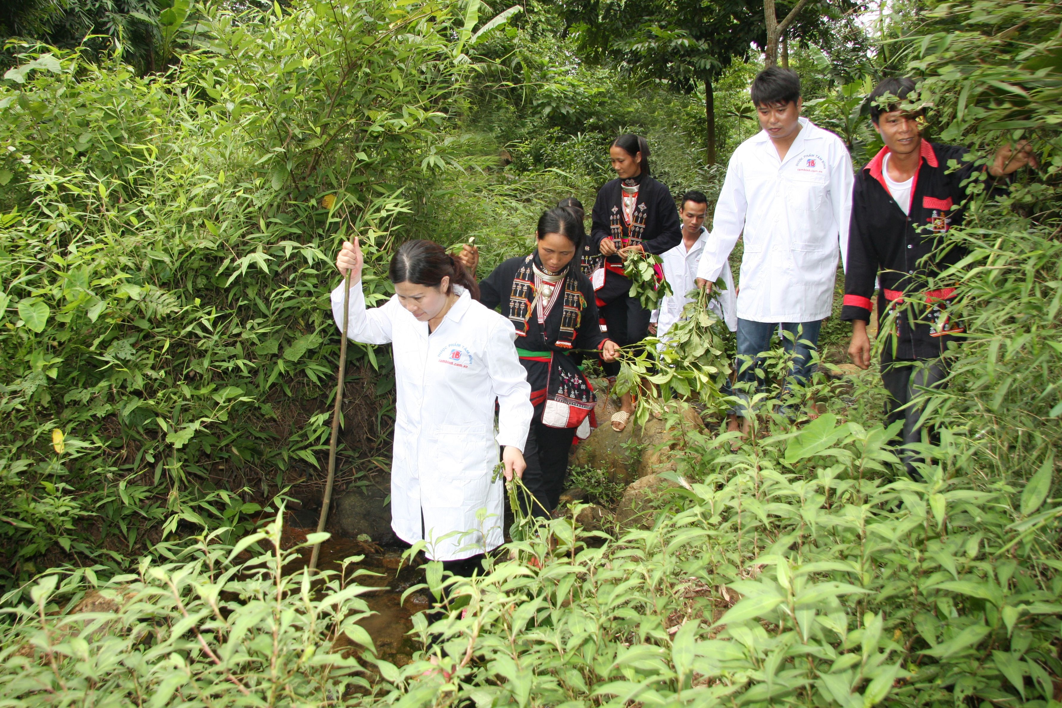 Người truyền lửa để thắp sáng Tâm Bình - 2 Dược sĩ Lê Thị Bình đi tìm dược liệu quý ở những vùng núi cao