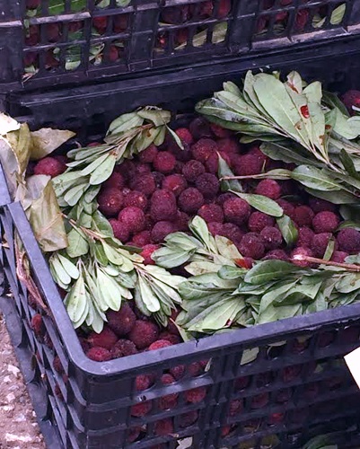 Thanh mai Trung Quốc 8 ngàn/kg, lừa dân Hà thành 200 ngàn/kg - 2 Mỗi thùng thanh
mai 8 kg chỉ có giá 50.000-60.000 đồng