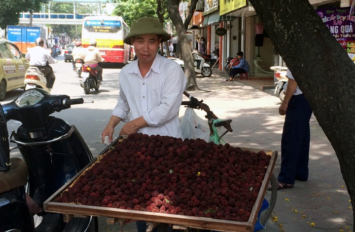 Thanh mai Trung Quốc 8 ngàn/kg, lừa dân Hà thành 200 ngàn/kg - 4 Thậm chí, nhiều
nơi còn hét giá lên tới 200.000 đồng/kg