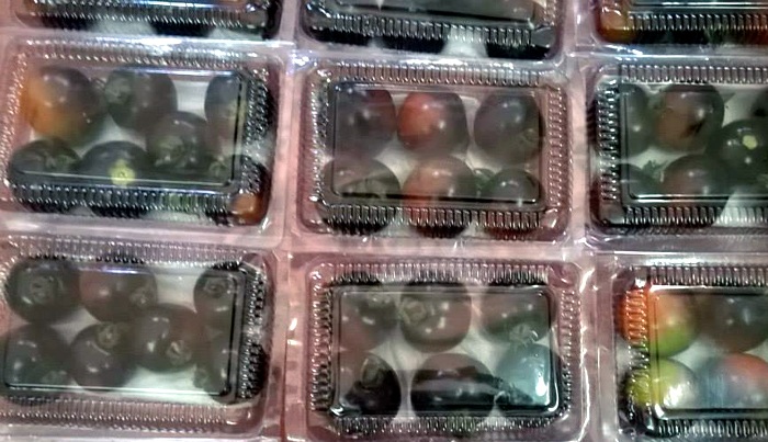 Cà chua đen giá
140.000 đồng/kg đang là loại hàng hot được rất nhiều người đặt mua