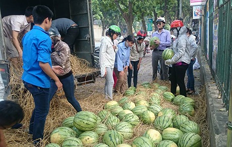 Đầu ra cho nông sản: Tìm giải pháp “tấm lòng” là không ổn! - 1 Quả dưa hấu thời gian qua đã được tiêu thụ bởi nhiều tấm lòng.