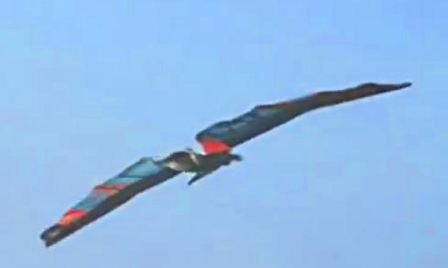 Siêu nhân bay như chim bằng đôi cánh tự chế