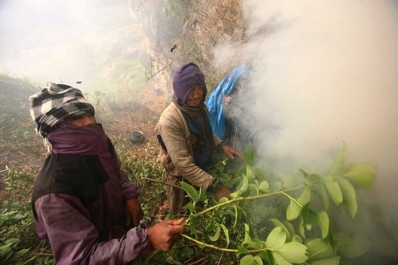 Nín thở xem người dân Nepal lấy mật ong - 5 Nín thở xem người dân Nepal lấy mật ong