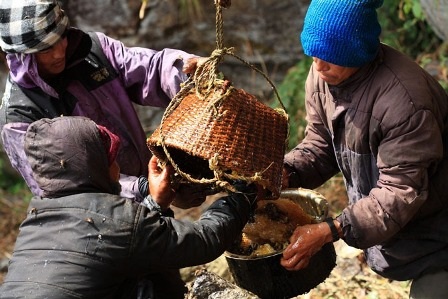 Nín thở xem người dân Nepal lấy mật ong - 16 Nín thở xem người dân Nepal lấy mật ong